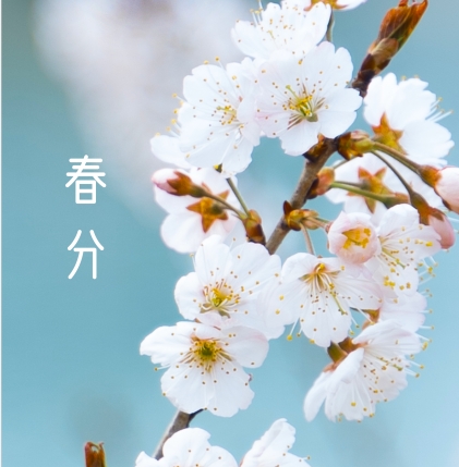今日春分 | 一半春色入心，一半春色予你，一程春暖花開，一路春風(fēng)得意